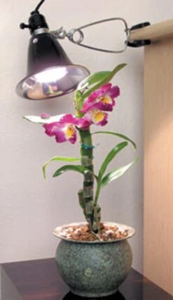 Plant Cultivation Tools Store -Plant Cultivation Tools Store LKIT60 2